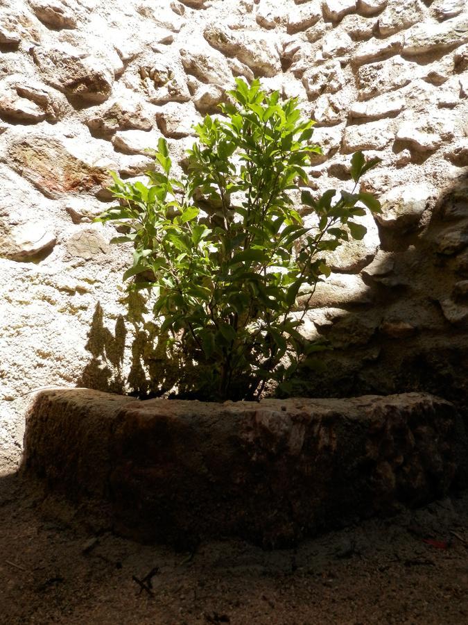 Cali B&B Alatri Экстерьер фото